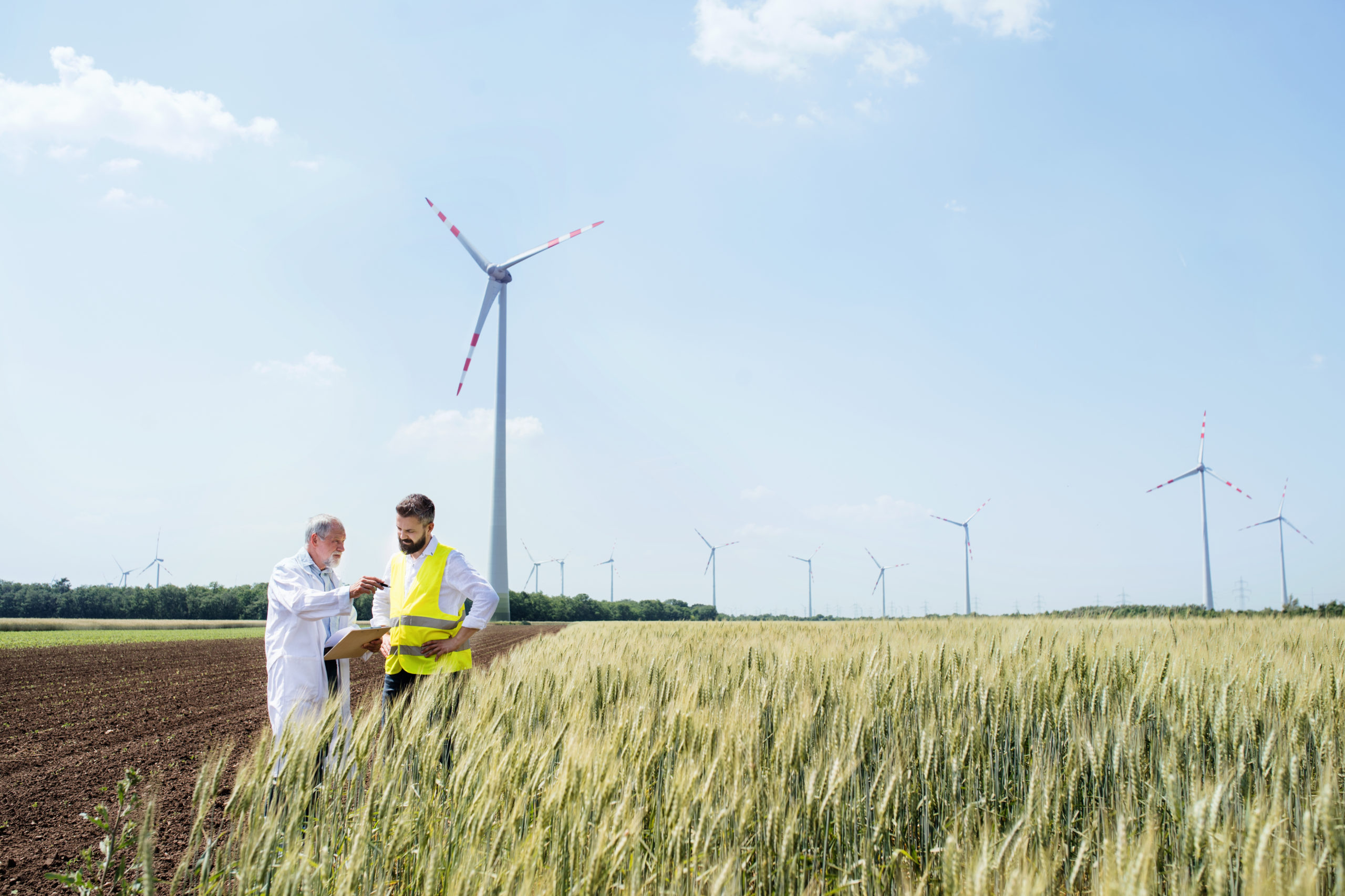 Thumbnail of post #280962