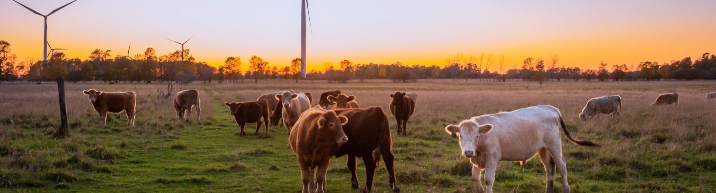 Opleiding Natuur en stikstof bij omgevingsvergunningen en RUPs