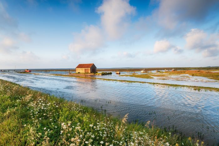 Augustus 2021: Dweilen met de kraan open