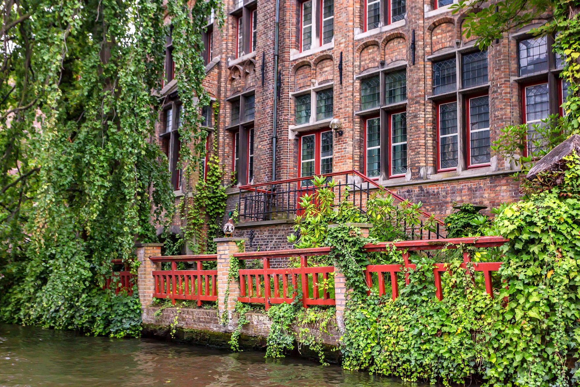 Thumbnail of post #280930