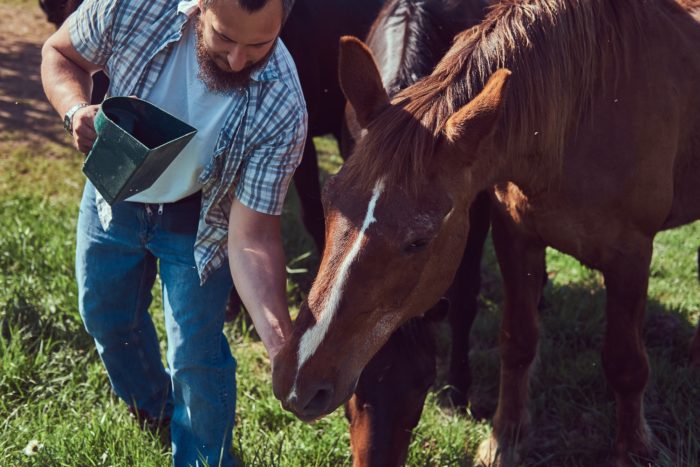 Paardenhouderijen in agrarisch gebied: (quit) horsing around?