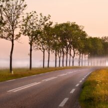 Thumbnail of post #280990