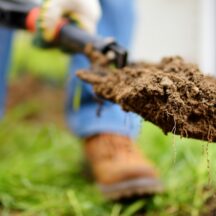 Thumbnail of post #280836