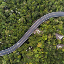 Thumbnail of post #280504