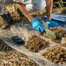 Thumbnail of post #280974