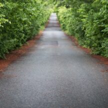 Thumbnail of post #281047